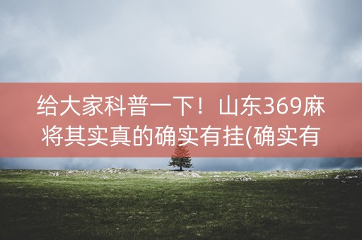 给大家科普一下！山东369麻将其实真的确实有挂(确实有挂)