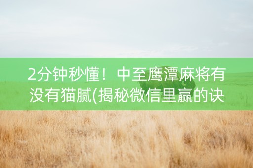 2分钟秒懂！中至鹰潭麻将有没有猫腻(揭秘微信里赢的诀窍)