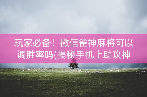玩家必备！微信雀神麻将可以调胜率吗(揭秘手机上助攻神器)