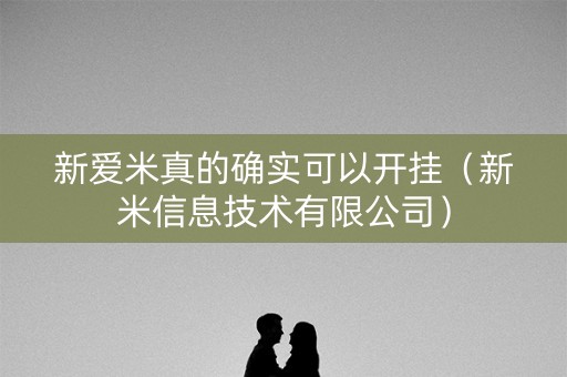 新爱米真的确实可以开挂（新米信息技术有限公司）