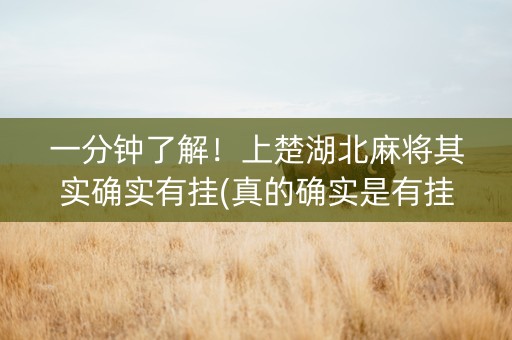 一分钟了解！上楚湖北麻将其实确实有挂(真的确实是有挂)