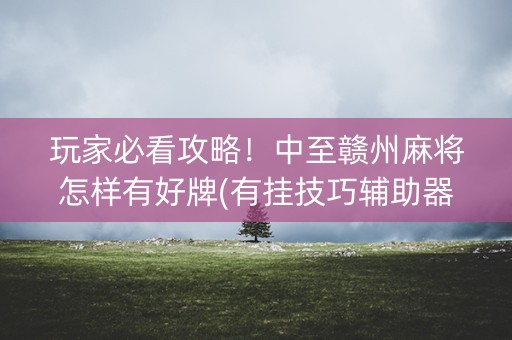 玩家必看攻略！中至赣州麻将怎样有好牌(有挂技巧辅助器)