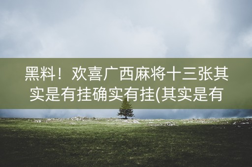 黑料！欢喜广西麻将十三张其实是有挂确实有挂(其实是有挂的)