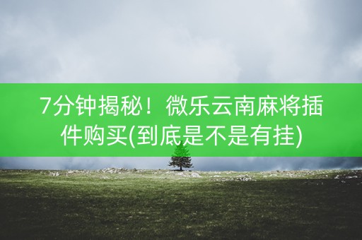 7分钟揭秘！微乐云南麻将插件购买(到底是不是有挂)