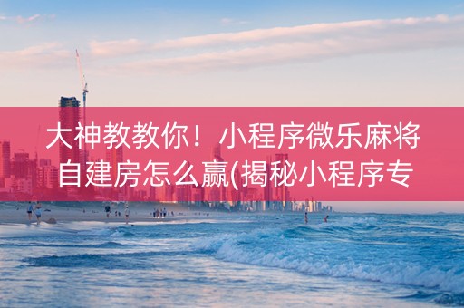 大神教教你！小程序微乐麻将自建房怎么赢(揭秘小程序专用神器下载)