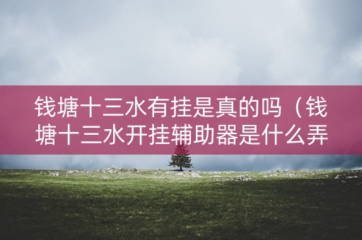 钱塘十三水有挂是真的吗（钱塘十三水开挂辅助器是什么弄的）