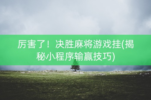 厉害了！决胜麻将游戏挂(揭秘小程序输赢技巧)