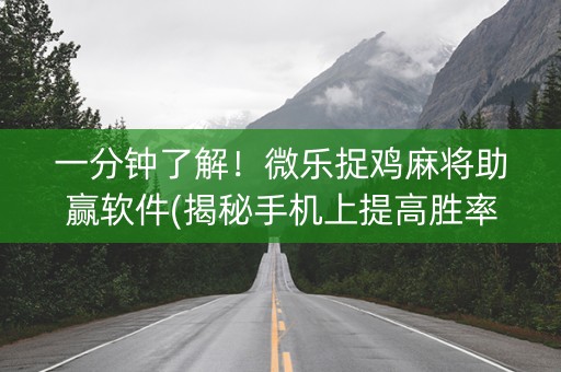 一分钟了解！微乐捉鸡麻将助赢软件(揭秘手机上提高胜率)