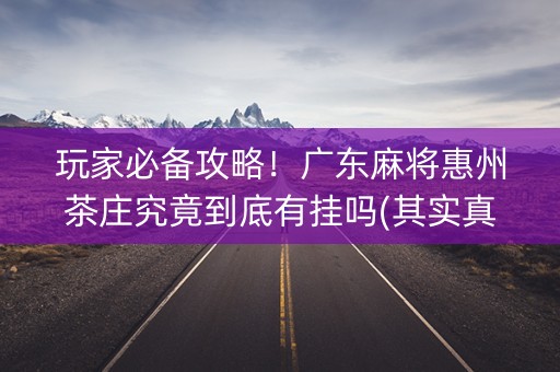 玩家必备攻略！广东麻将惠州茶庄究竟到底有挂吗(其实真的有挂)