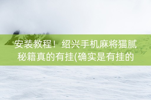安装教程！绍兴手机麻将猫腻秘籍真的有挂(确实是有挂的)