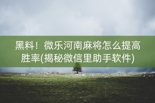 黑料！微乐河南麻将怎么提高胜率(揭秘微信里助手软件)