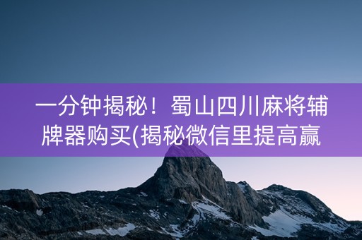 一分钟揭秘！蜀山四川麻将辅牌器购买(揭秘微信里提高赢的概率)