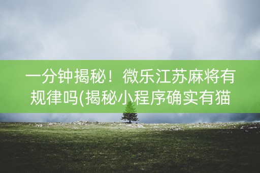 一分钟揭秘！微乐江苏麻将有规律吗(揭秘小程序确实有猫腻)