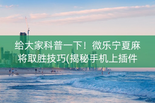 给大家科普一下！微乐宁夏麻将取胜技巧(揭秘手机上插件下载)