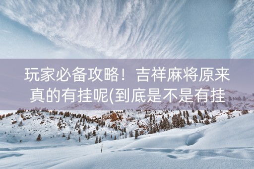玩家必备攻略！吉祥麻将原来真的有挂呢(到底是不是有挂)
