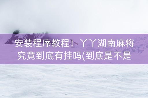 安装程序教程！丫丫湖南麻将究竟到底有挂吗(到底是不是有挂)