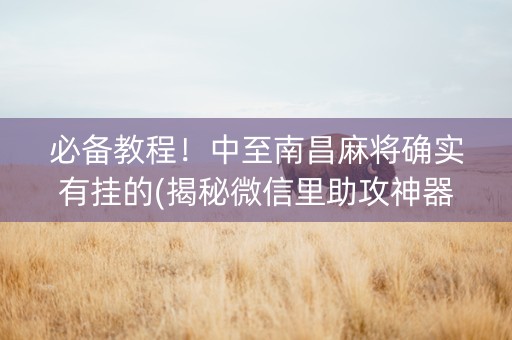 必备教程！中至南昌麻将确实有挂的(揭秘微信里助攻神器)