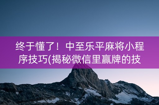 终于懂了！中至乐平麻将小程序技巧(揭秘微信里赢牌的技巧)