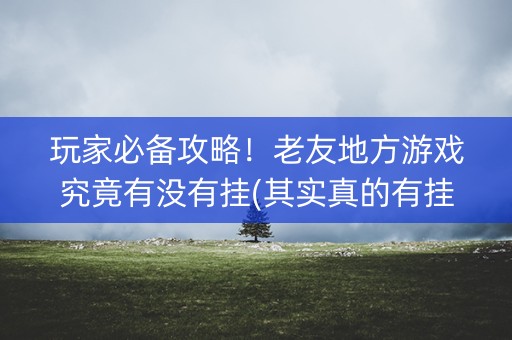 玩家必备攻略！老友地方游戏究竟有没有挂(其实真的有挂)