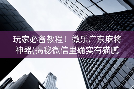 玩家必备教程！微乐广东麻将神器(揭秘微信里确实有猫腻)