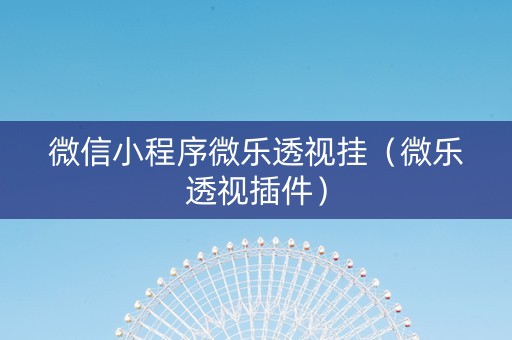 微信小程序微乐透视挂（微乐透视插件）