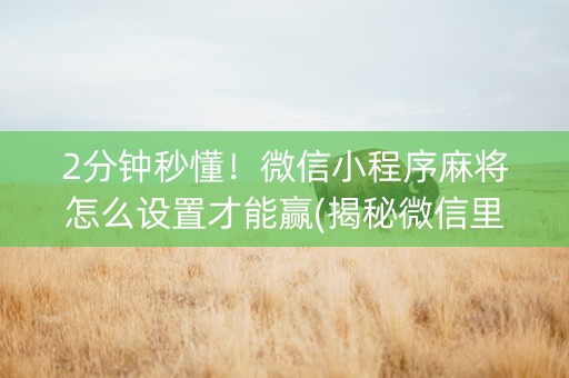 2分钟秒懂！微信小程序麻将怎么设置才能赢(揭秘微信里怎么容易赢)