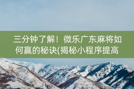 三分钟了解！微乐广东麻将如何赢的秘诀(揭秘小程序提高胜率)