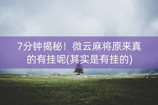 7分钟揭秘！微云麻将原来真的有挂呢(其实是有挂的)