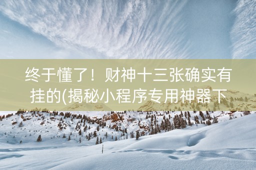 终于懂了！财神十三张确实有挂的(揭秘小程序专用神器下载)