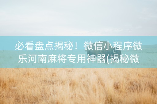 必看盘点揭秘！微信小程序微乐河南麻将专用神器(揭秘微信里插件下载)