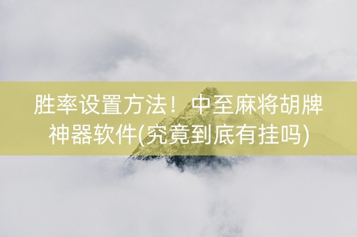 胜率设置方法！中至麻将胡牌神器软件(究竟到底有挂吗)