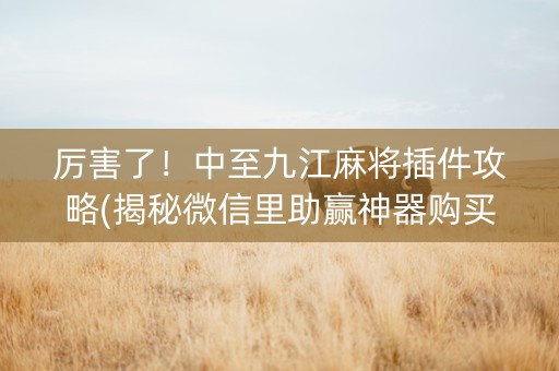 厉害了！中至九江麻将插件攻略(揭秘微信里助赢神器购买)