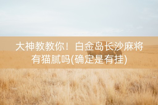 大神教教你！白金岛长沙麻将有猫腻吗(确定是有挂)