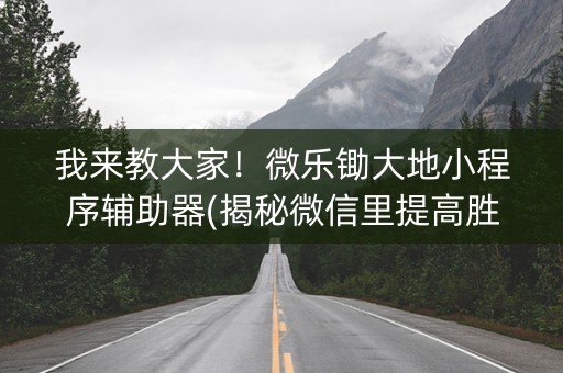 我来教大家！微乐锄大地小程序辅助器(揭秘微信里提高胜率)