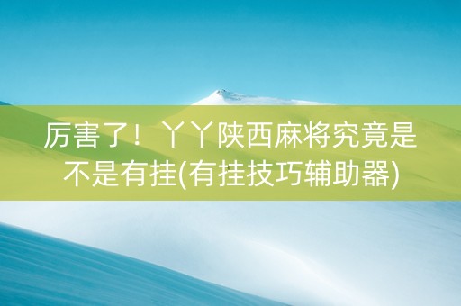 厉害了！丫丫陕西麻将究竟是不是有挂(有挂技巧辅助器)