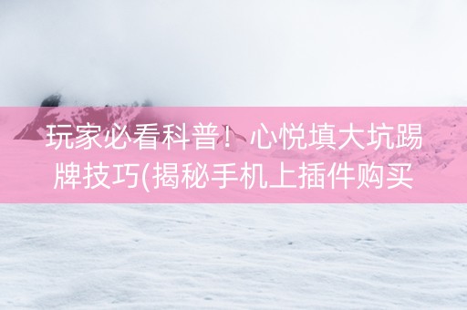 玩家必看科普！心悦填大坑踢牌技巧(揭秘手机上插件购买)