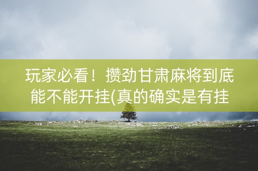 玩家必看！攒劲甘肃麻将到底能不能开挂(真的确实是有挂)