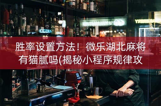 胜率设置方法！微乐湖北麻将有猫腻吗(揭秘小程序规律攻略)