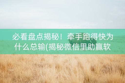 必看盘点揭秘！牵手跑得快为什么总输(揭秘微信里助赢软件)