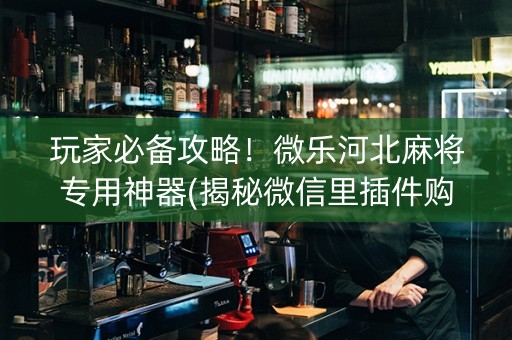 玩家必备攻略！微乐河北麻将专用神器(揭秘微信里插件购买)