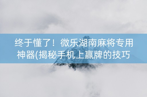 终于懂了！微乐湖南麻将专用神器(揭秘手机上赢牌的技巧)