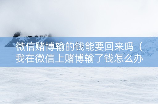 微信赌博输的钱能要回来吗（我在微信上赌博输了钱怎么办）