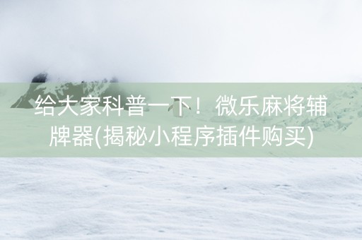 给大家科普一下！微乐麻将辅牌器(揭秘小程序插件购买)
