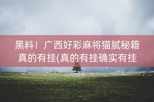 黑料！广西好彩麻将猫腻秘籍真的有挂(真的有挂确实有挂)