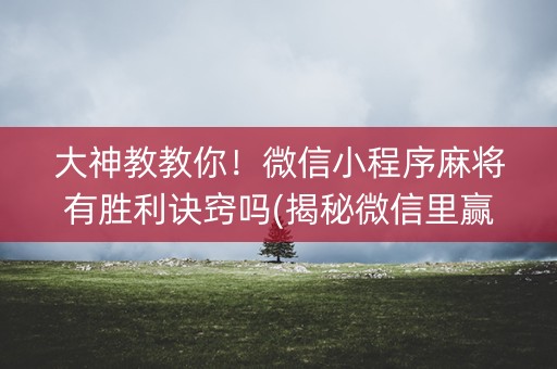 大神教教你！微信小程序麻将有胜利诀窍吗(揭秘微信里赢的诀窍)