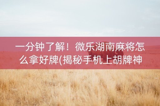 一分钟了解！微乐湖南麻将怎么拿好牌(揭秘手机上胡牌神器)