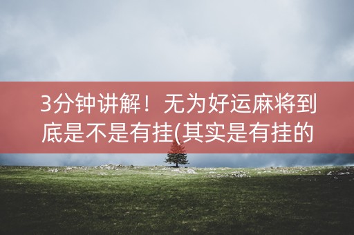 3分钟讲解！无为好运麻将到底是不是有挂(其实是有挂的)