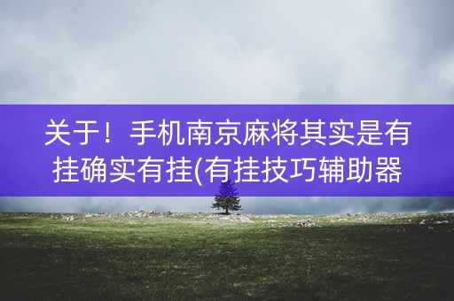 关于！手机南京麻将其实是有挂确实有挂(有挂技巧辅助器)