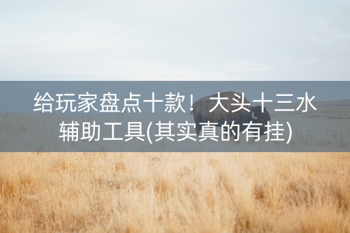 给玩家盘点十款！大头十三水辅助工具(其实真的有挂)