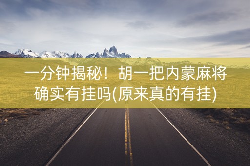 一分钟揭秘！胡一把内蒙麻将确实有挂吗(原来真的有挂)